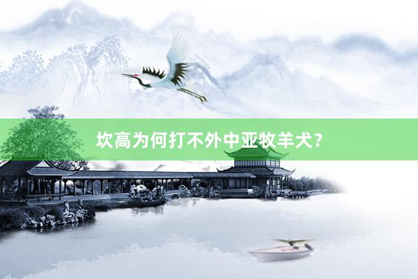 坎高为何打不外中亚牧羊犬？