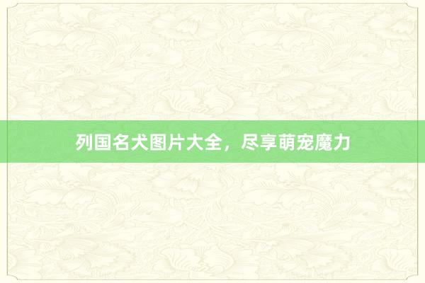 列国名犬图片大全，尽享萌宠魔力