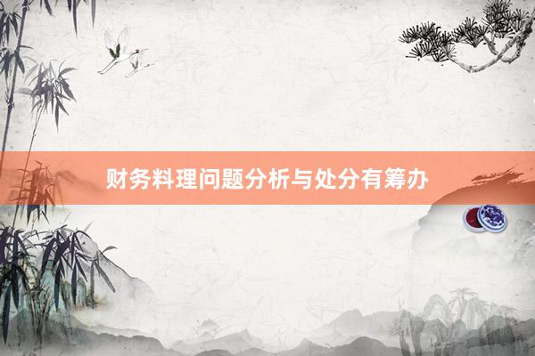 财务料理问题分析与处分有筹办